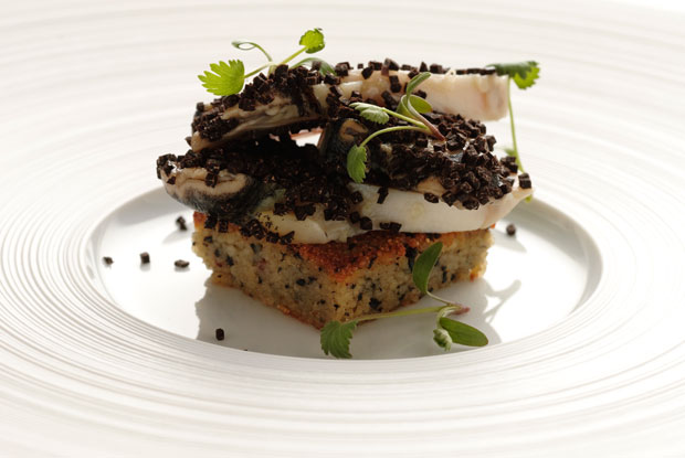 Quintessence-ASIA-2019-DISH2-1